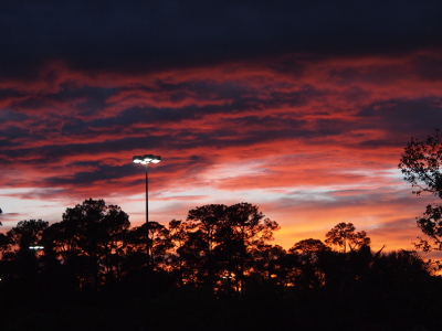 [A yellow-orange sky backlights the treeline and shows through it. Above that is a patch of blue sky and above the blue is pink-bottomed dark blue clouds reaching to the top of the image. In the middle is a parking lot light stand with four lights which reach into the dark blue section of the sky so the lights are very visible in the image.]